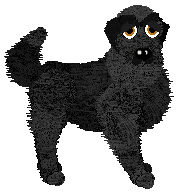 Profile image of HK/FK's A Shield For Peace