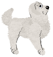 HK/FK's I Who Made You Sleep — “Roque”