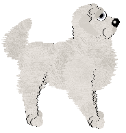 HK/FK's I Who Made You Sleep — “Roque”