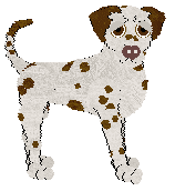 Profile image of Sz/Daisychain's White Cliffs