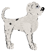 Poppyhill/Daisychain's A Bird in the Hand — “Wren”