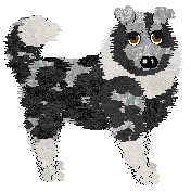 Wild Road/King's Melodious Victory — “Mel”