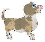 Cargo/King's Alcea Born — “Hollyhock”