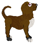 Amenity/King's Spread Me on Toast — “Nutella”