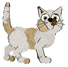 FDL's Flaaffy Spinarak — “Flaarak”