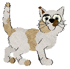 FDL's Flaaffy Spinarak — “Flaarak”