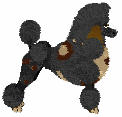 Amenity's Mimic Thyself — “Marko”