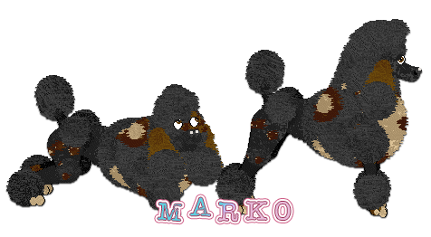 Profile image of Amenity's Mimic Thyself