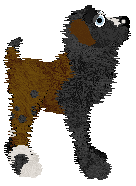 EC's Knock With Win — “Gin”