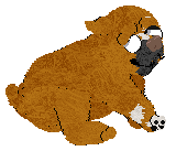 NSP/Mockingbird's Pixel Dimensions — “Happy”