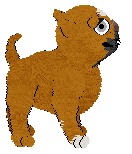 NSP/Mockingbird's Pixel Dimensions — “Happy”