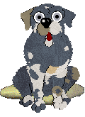 Daisychain/FDL's Petal Paws Friend — “Blake”