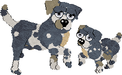 Daisychain/FDL's Petal Paws Friend — “Blake”