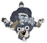 Daisychain/FDL's Petal Paws Friend — “Blake”