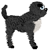 FDL's Golden Girl at Mythic Silence — “Beatrice”