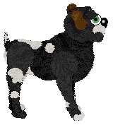 FDL/FK's A Beau for All Seasons — “Beau”