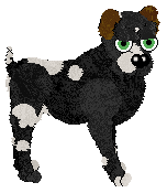 FDL/FK's A Beau for All Seasons — “Beau”