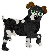 Profile image of FDL/FK's A Beau for All Seasons