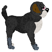 FDL's Bennett — “Bennett”