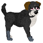 FDL's Bennett — “Bennett”