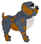 FDL's Blue Trumpetflower of Poppyhill — “Bignonia”