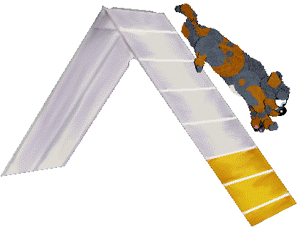 FDL's Blue Trumpetflower of Poppyhill — “Bignonia”