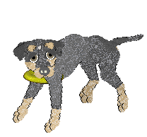 Ephemera Open The Floodgates — “Thomas”