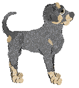 Ephemera Open The Floodgates — “Thomas”