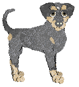 Ephemera Open The Floodgates — “Thomas”