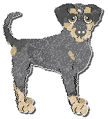 Profile image of Ephemera Open The Floodgates