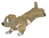 Lex's Archipelago Swordfish @ Mockingbird — “Swordfish”