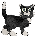 Profile image of EC/King's Snugglebug