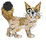 Calluna/King's That's Not a Knife — “Dundee”