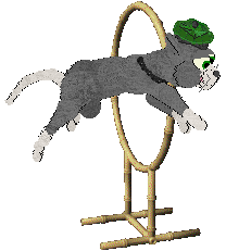 EC's Divine Inspiration — “Jesse”