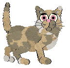 Krunchez/Amphigory’s Enchanted Rose — “Fifi”