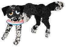 Cargo/Poppyhill's Wiston Cap — “Wiston”