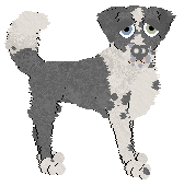 Cargo/Poppyhill's Blue Texel — “Texel”