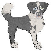 Profile image of Cargo/Poppyhill's Blue Texel