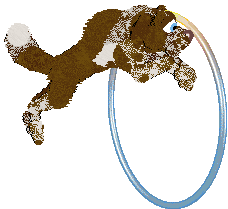 Cargo/Poppyhill's Castlemilk Moorit — “Moorit”