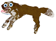 Cargo/Poppyhill's Castlemilk Moorit — “Moorit”