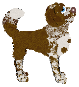 Cargo/Poppyhill's Castlemilk Moorit — “Moorit”