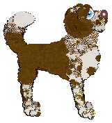 Profile image of Cargo/Poppyhill's Castlemilk Moorit