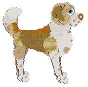 Cargo/Poppyhill's Archibald Prize — “Archibald”