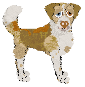 Cargo/Poppyhill's Archibald Prize — “Archibald”