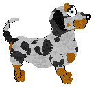 Cargo/Poppyhill's Badger Dog — “Chips”