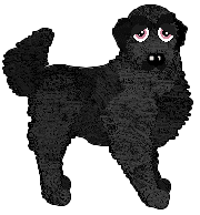 Profile image of HK's And What Do We Do To Murderers?