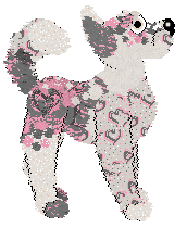 Medusa's Silly Love Song — “Ballad”