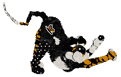 Funfetti's I Don't Speak Italian — “Mariposa”