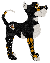 Funfetti's I Don't Speak Italian — “Mariposa”