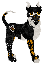 Funfetti's I Don't Speak Italian — “Mariposa”